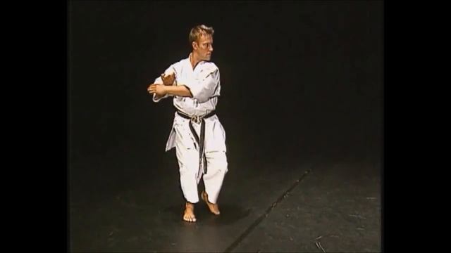 Хейан Йодан+Бункай в исполнении трёхкратного чемпиона мира/Heian Yodan смотреть онлайн