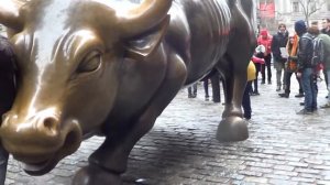 #48 США,  американский настоящий самец - знаменитый бык на Уолл Стрит.