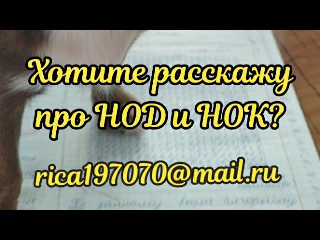 Рассказать вам как находить НОД и НОК?