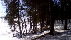 Чемской бор и Обское море, ВОДОХРАНИЛИЩЕ.