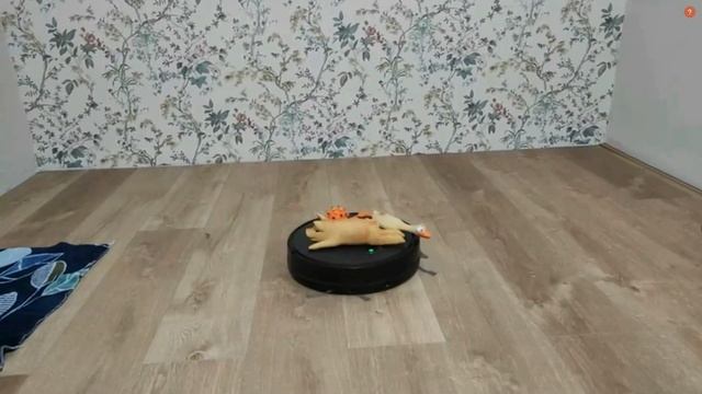 Приключения собаки и робота-пылесоса REDMOND RV-R650S WiFi смотреть онлайн