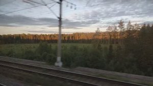 Июньское раннее утро на станции Боровёнка