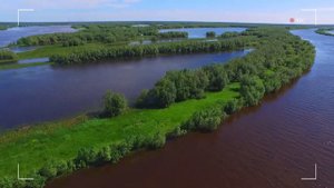 Улетное видео - Кедровый остров