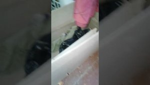 Сумасшедшая соседка  в коммунальной квартире