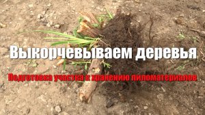#1 Дом из бруса своими руками. Подготовка места для хранения бруса. Освобождаю участок от деревьев.