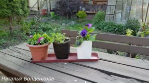 Как разместить грядки,теплицу и баню на участке 6 соток.