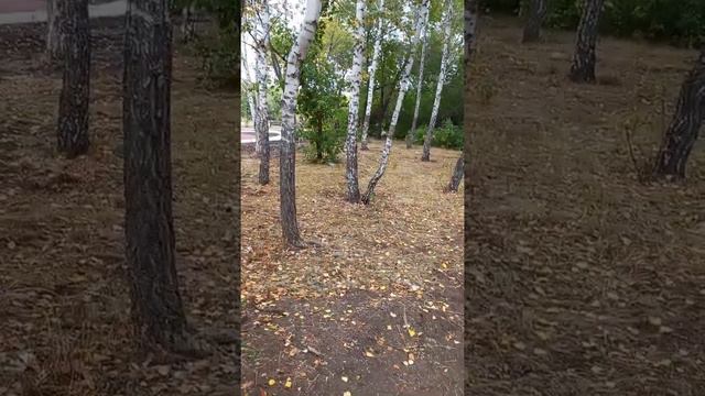 Духи города Магнитогорска смотреть онлайн