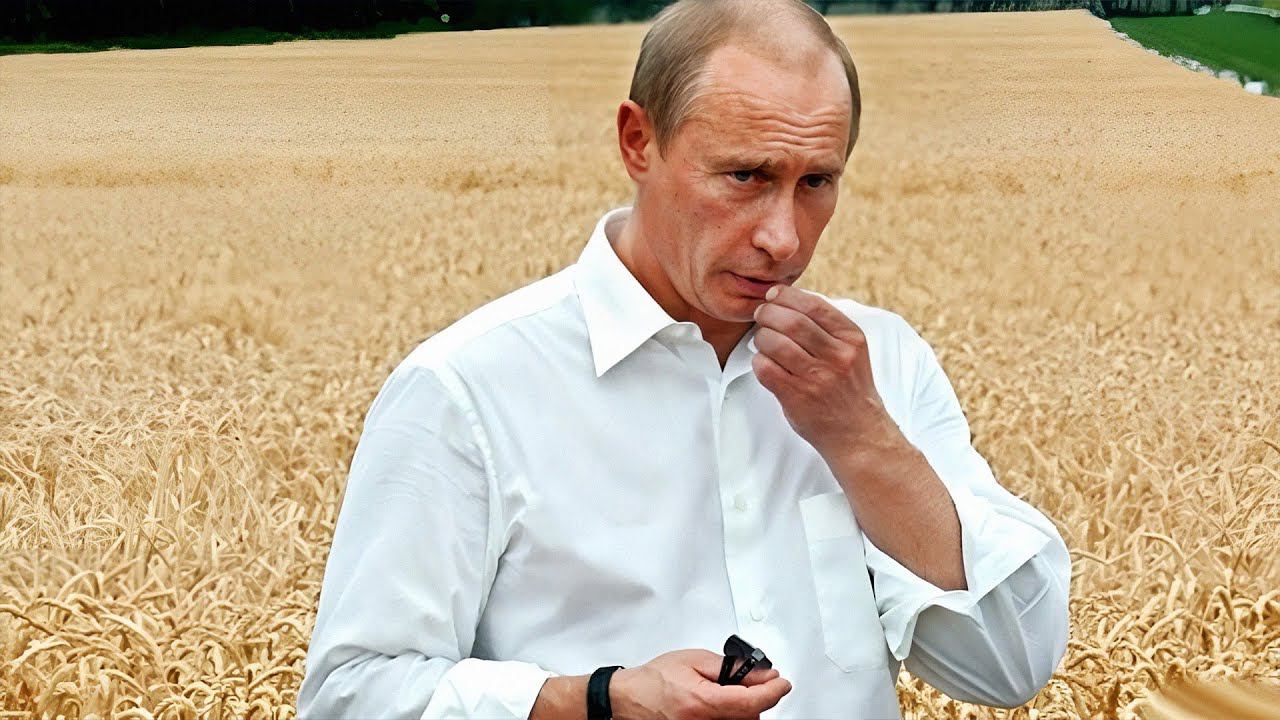 Пшеница из России ломает планы США и Австралии