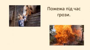 Зарубіжна література. 5, 6 клас. Повість Марії Пар "Вафельне серце". ІV відеоурок