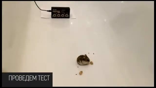 Профессиональный ультразвуковой отпугиватель мышей и крыс ГРАД УЛЬТРА 3Д