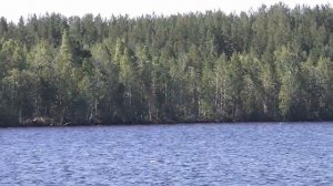 Санкт-Петербург - Соловки
