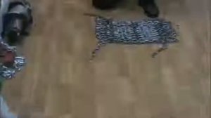 Как сложить цепи противоскольжения? Инструкция от AVTOCOMF.RU