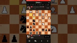 Шахматы. Защита Коцио! Гросс пал!)