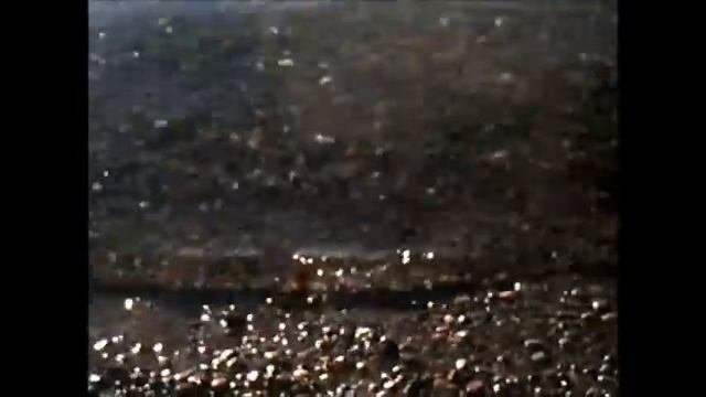 Tacoma Narrows Bridge Area