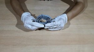 Ошейник для собак и кошек от блох и клещей. Как правильно выбрать ошейник