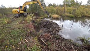 Ликвидация бобровой плотины. Мероприятия по пропуску воды. 4К.