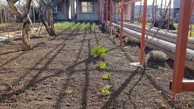 VLOG Мой самый лучший муж!)))? Валера готовит завтрак. Что творится в детской ??? смотреть онлайн