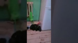 Приморский Край, СИЗО 1 Г ВЛАДИВОСТОК