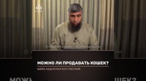 Можно ли продавать кошек в исламе ?