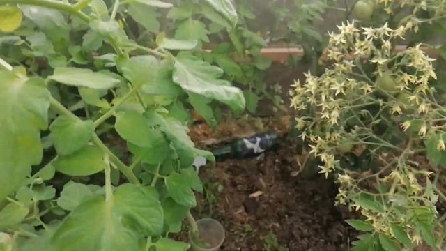 новый человек родился, наводим красоту. смотреть онлайн