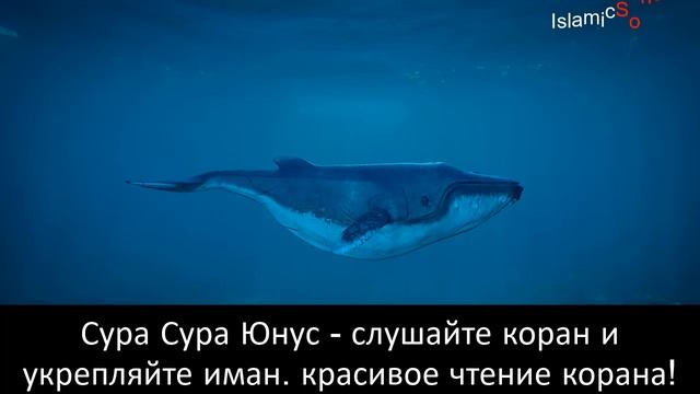 Сура Юнус - слушайте коран и укрепляйте иман. красивое чтение корана!