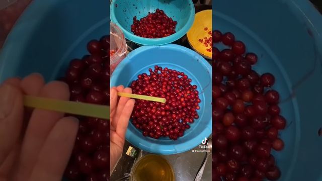 Как почистить вишню от косточек смотреть онлайн