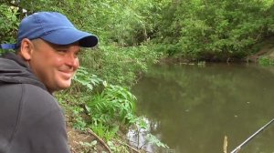 Лес и речка за нашим домом.