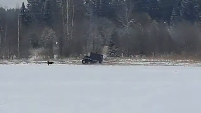 гусеничный вездеход смотреть онлайн