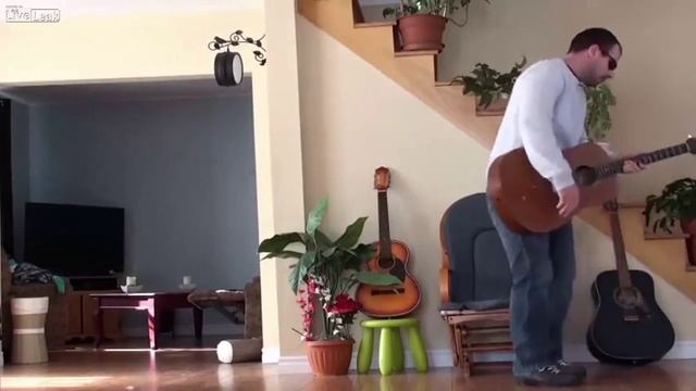 Кот отомстил смотреть онлайн