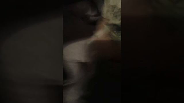 Я на дачи у друга. смотреть онлайн