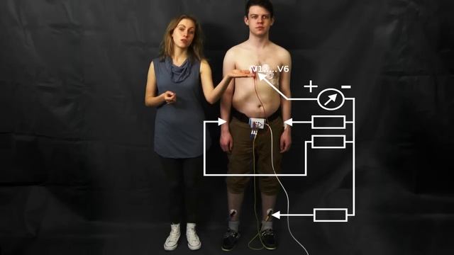 ECG: The precordial/chest leads V1,...,V6 смотреть онлайн