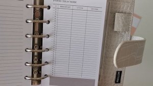 Мой ежедневник и его оформление / Moterm planner set up