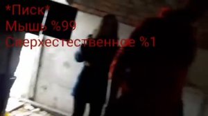 Заброшенный детский сад