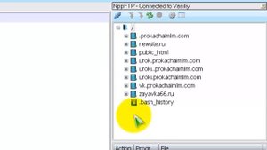 Краткий обзор редактирования кода программой Notepad++
