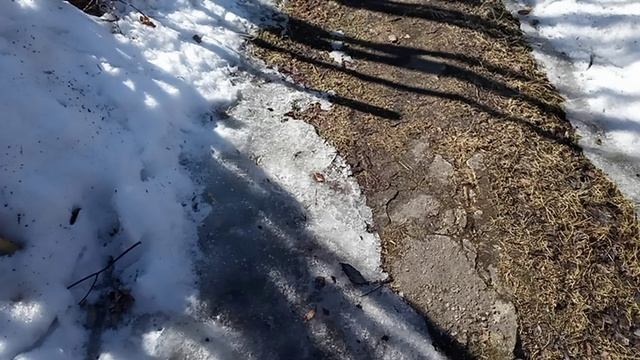 утро в деревне /апрель13число/ смотреть онлайн