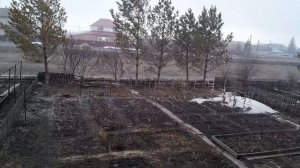 Удивительная природа