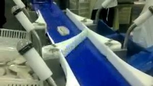 Грейдер сепаратор поточный в работе