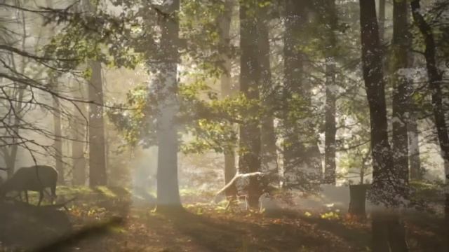 3 шага к исцелению смотреть онлайн