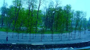 Французский язык от Eugene Sev. Le français d'Eugène Sev. Neige en mai 2020