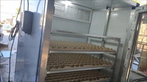Инкубатор своими руками на 1200 куриных яиц