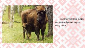 Беларусь моя родина!