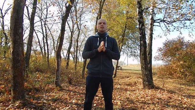 ВАЖНЫЕ ПРАВИЛА ВИПОЛНЕНИЯ ГИМНАСТИКИ ДЛЯ ШЕИ ШИШОНИНА смотреть онлайн