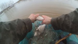 Рыбалка сетями ранней весной, вода прибывает