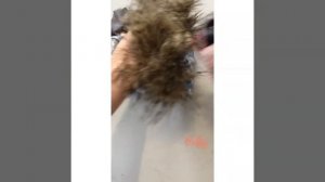 Как расчесать мех на капюшоне