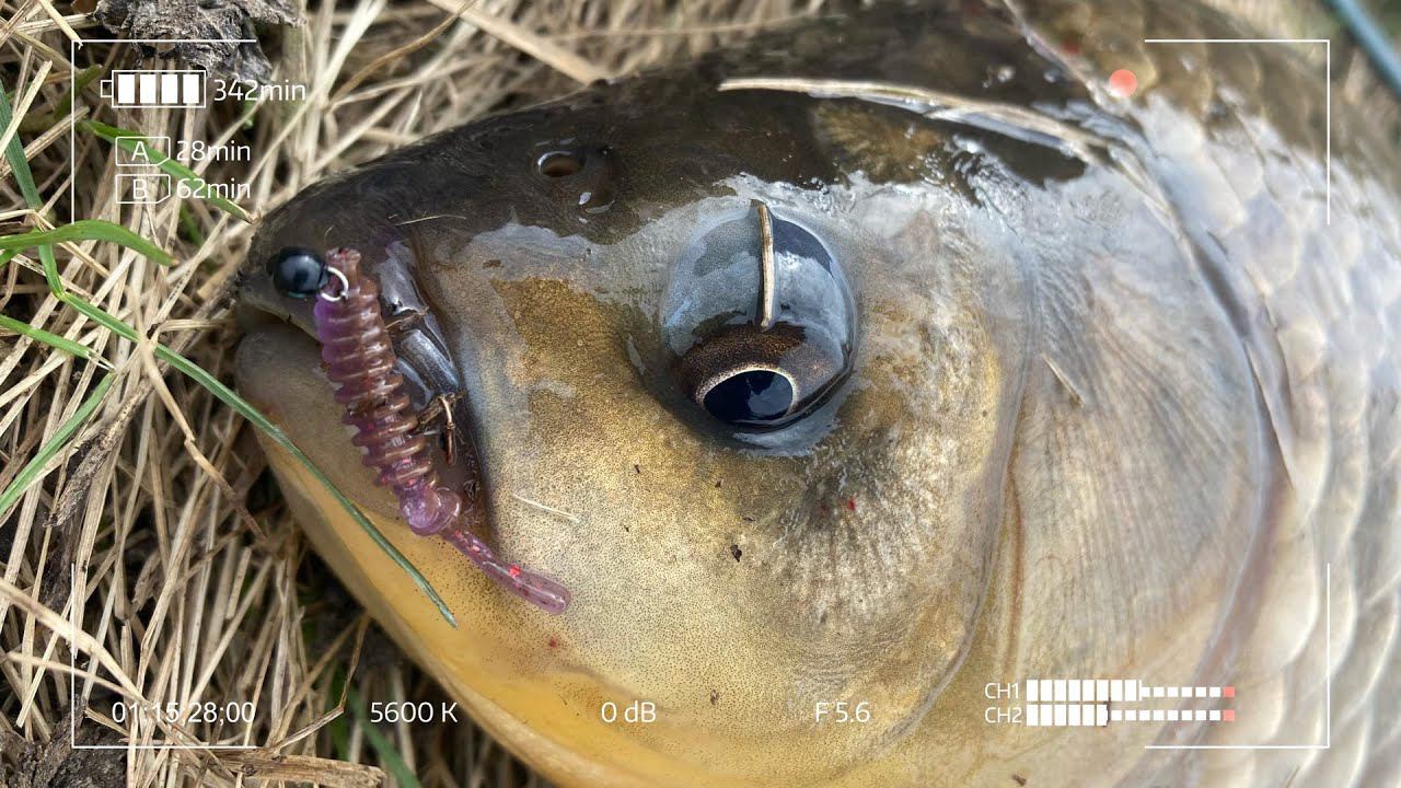 Этот Карась заставил меня понервничать! Крупная Плотва на мормышинг в мае.