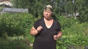 Избавляемся от тли и паутинного клеща народным способом