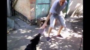 Рем і танці під "Сепултуру"