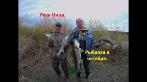 Река Ница. Рыбалка в октябре. Ловля судака и окуня.