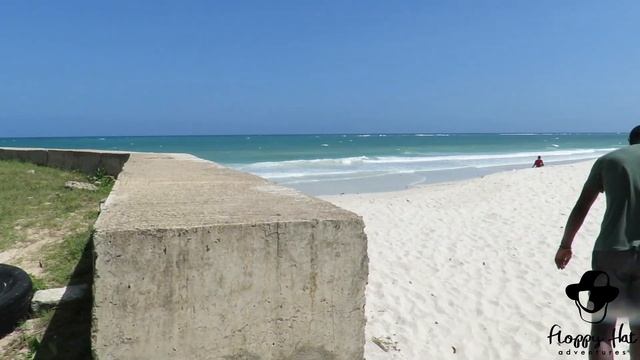 Adventures in S.E. Kenya: Wasini Island boat tour, Diani Beach and Colobus Monkeys смотреть онлайн