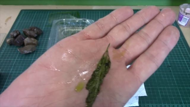 Preserving Plants with Glycerine (Frugal Wargames Foliage)